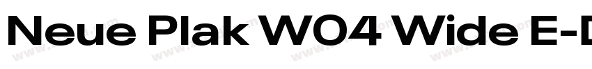 Neue Plak W04 Wide E字体转换